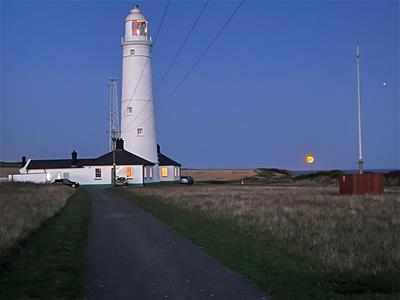 Picture 33